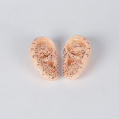 βελονισμός τα πρότυπα κινέζικα αυτιών 9cm ο ιατρικός στο ODM ζευγαριού χωρίς βρωμαά