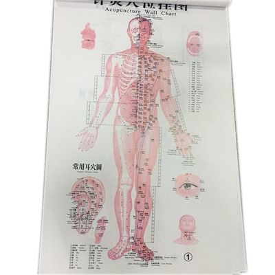 Προσωπική Παραδοσιακή Κινέζικη Ιατρική Ασφαλής αποτελεσματική θεραπεία