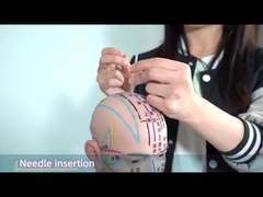 Χουάτο Ακούχτρα Βελονισμός Πίεση βελόνες αποτελεσματικά Προώθηση της κυκλοφορίας του αίματος 0,22 * 1,5 mm